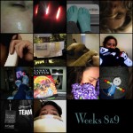 mosaic8462005.jpg