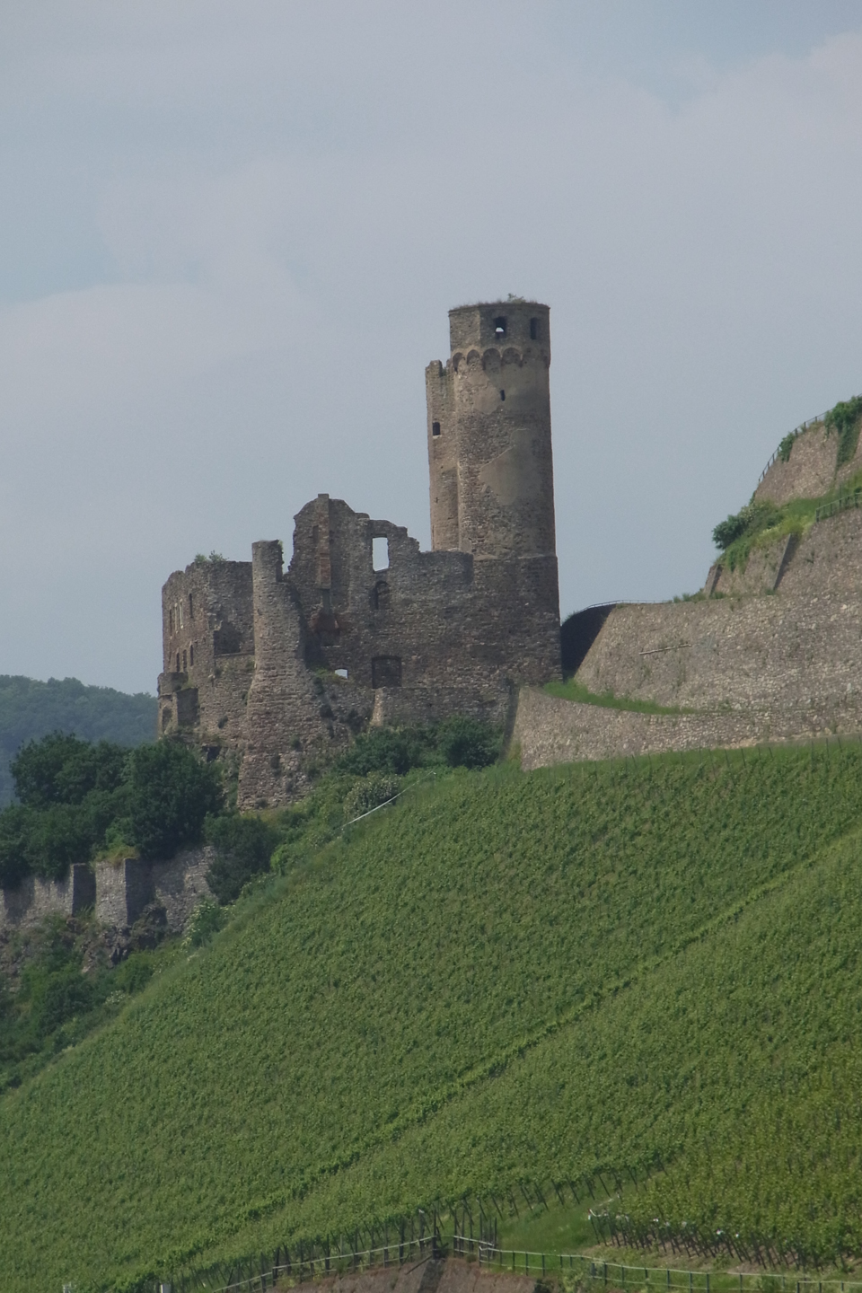 Ruins of Ehrenfels Castle