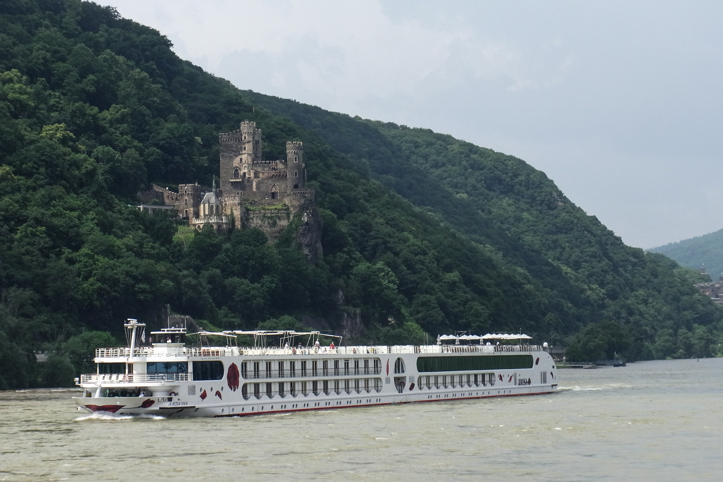 Rhine Cruise in front of Burg Rheinstein