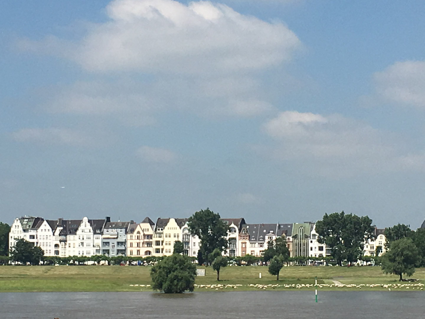 View across the Rhine from Dusseldorf