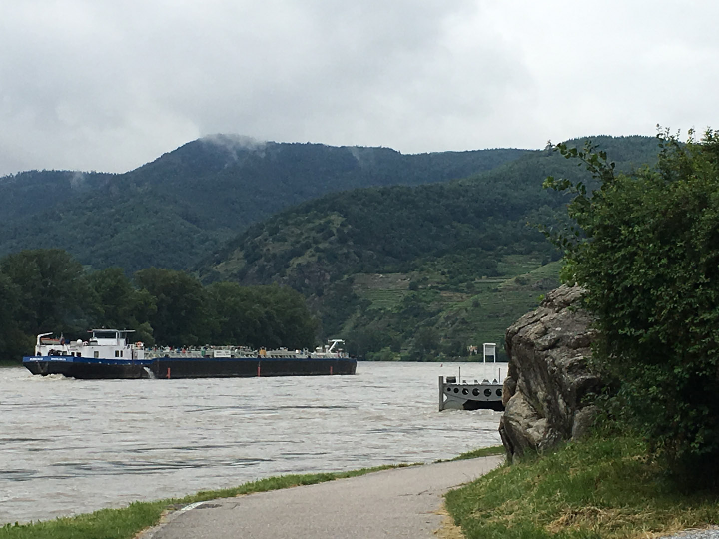 The swollen Rhine