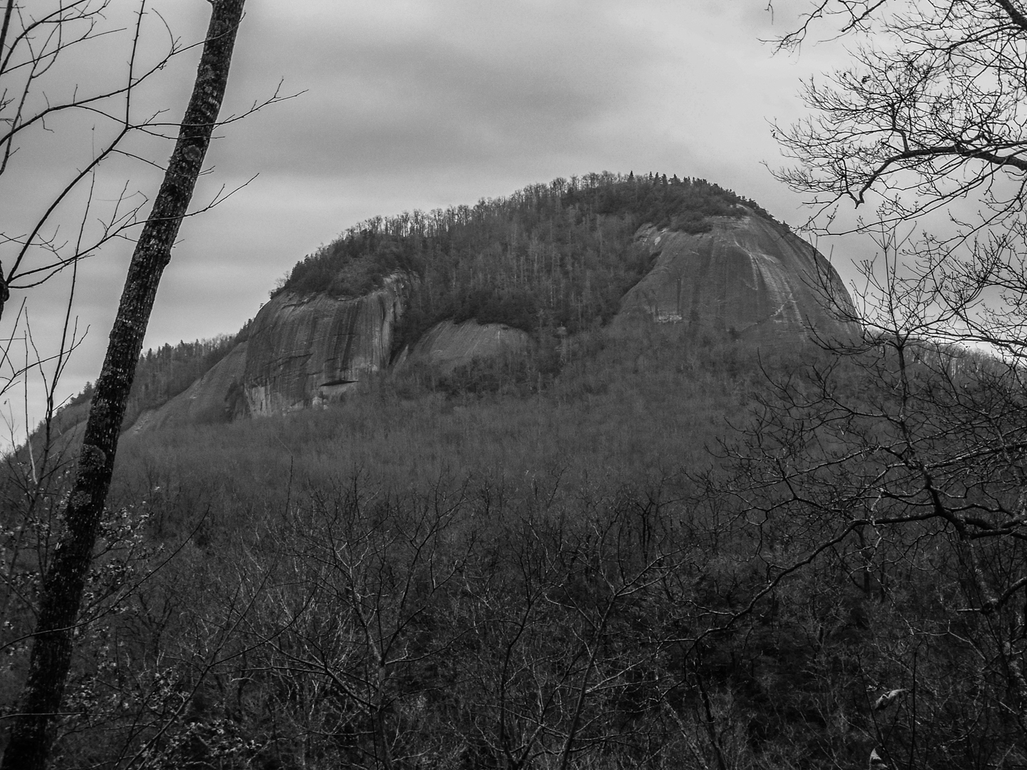 Looking Glass Rock - Pisgah National Forest