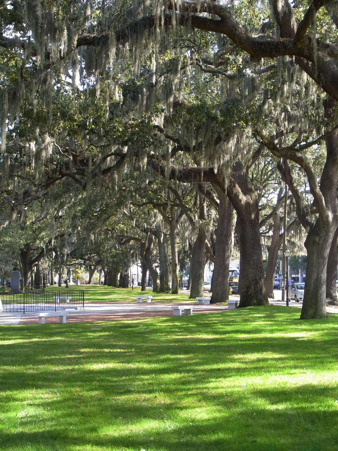 Emmet Park Savannah
